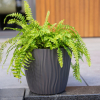 Doniczka z wkładką odprowadzającą wodę SAHARA 22cm szara